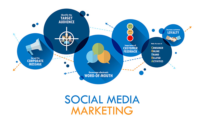 Social Media Strategies for B2B Brand Growth